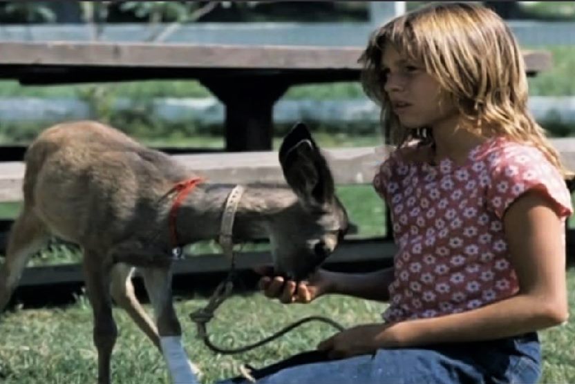 Kristy McNichol