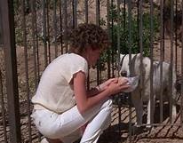 Kristy McNichol